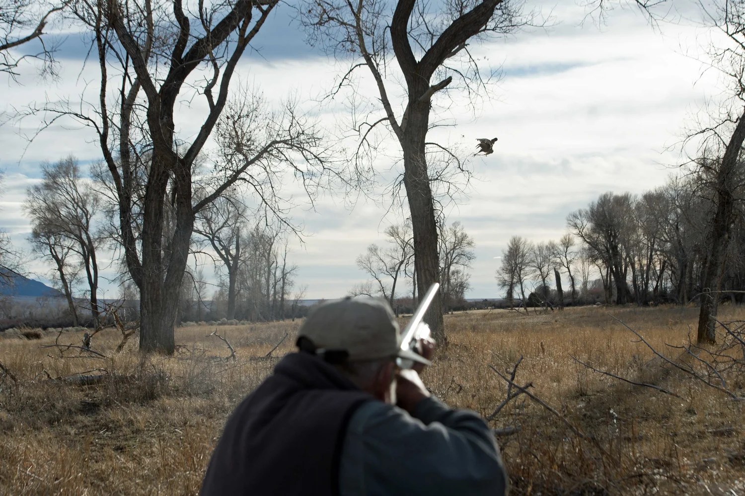 Hunting action on the preserve