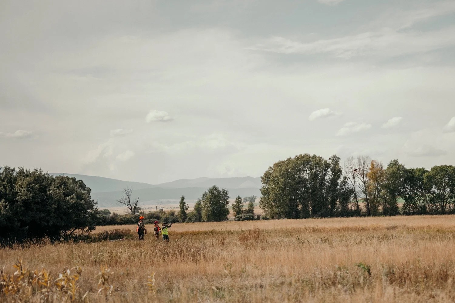 Pheasants Forever Ladies Hunt group